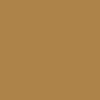 eS Accel Shoes - Copper