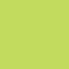 IPath Ace Shoes - Highlighter Felt