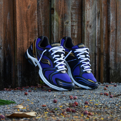 Mens Saucony ProGrid Triumph 4  (Purple/Gold)
