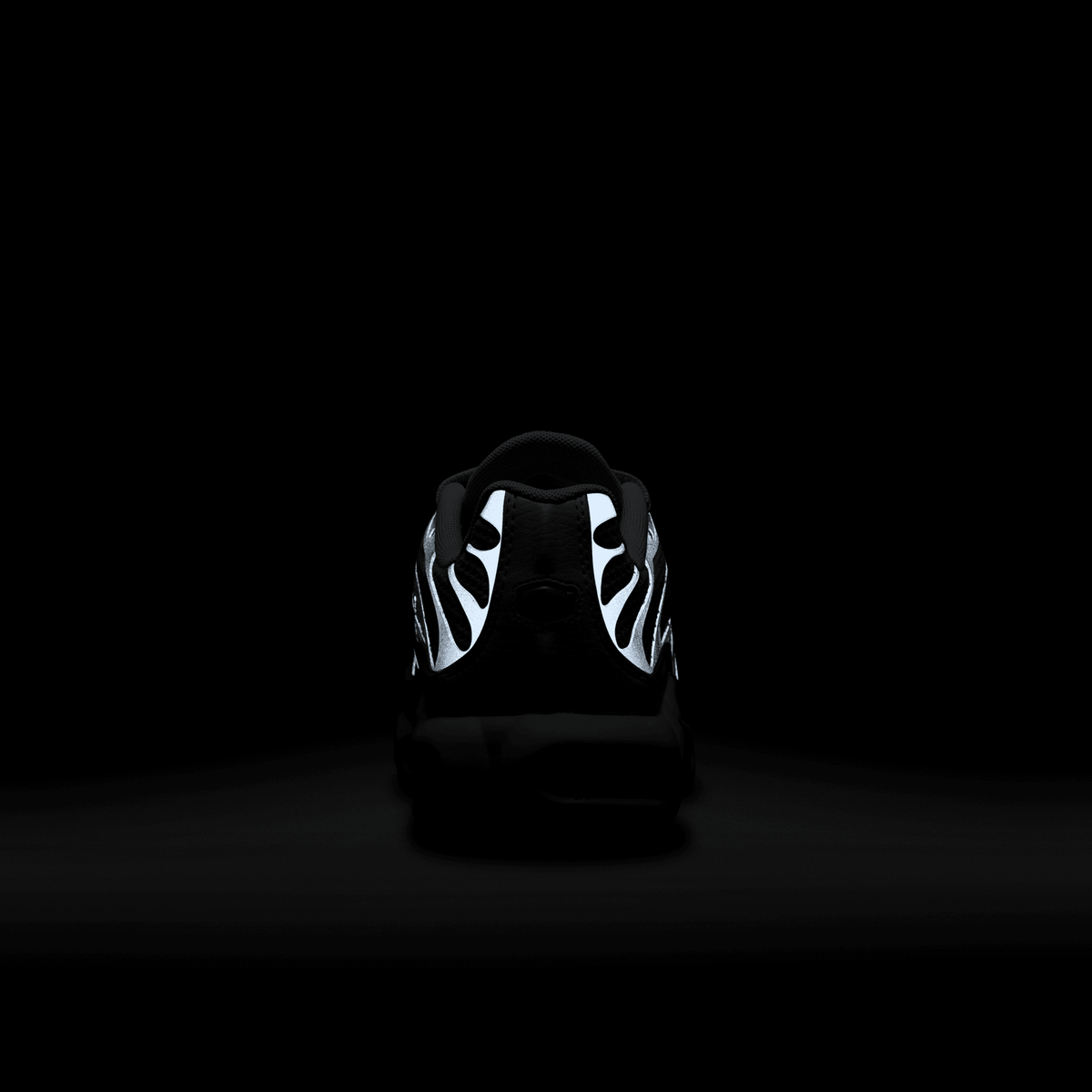 Women's Air Max Plus “Grey Sliver Chrome”