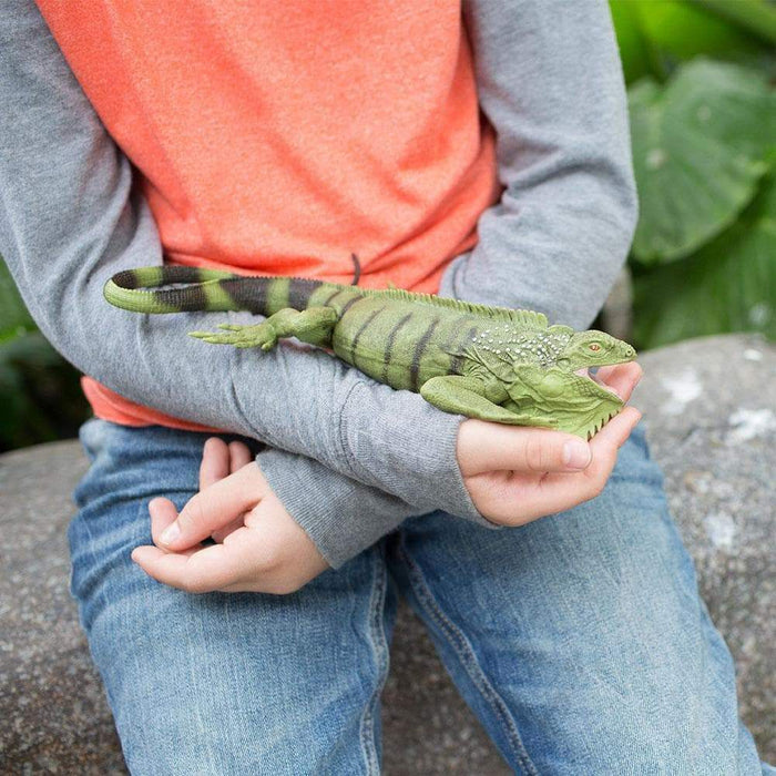 Iguana Toy